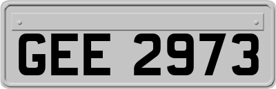 GEE2973