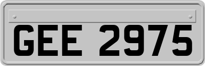 GEE2975