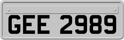 GEE2989