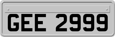 GEE2999