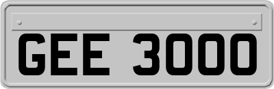 GEE3000