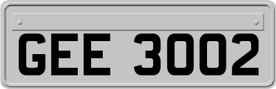 GEE3002