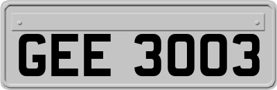 GEE3003