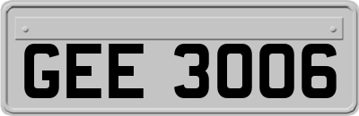 GEE3006