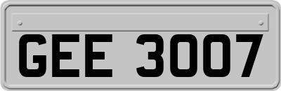 GEE3007