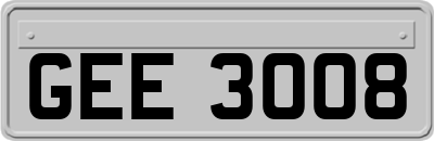 GEE3008