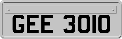 GEE3010