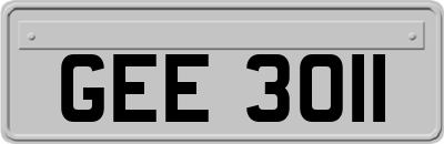 GEE3011