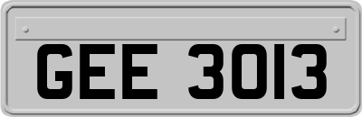 GEE3013