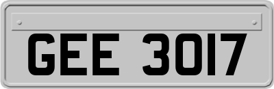 GEE3017