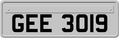 GEE3019