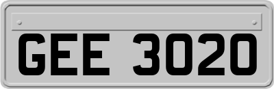 GEE3020