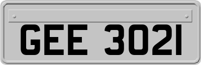GEE3021
