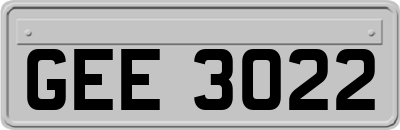 GEE3022