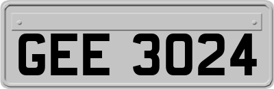 GEE3024