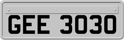 GEE3030