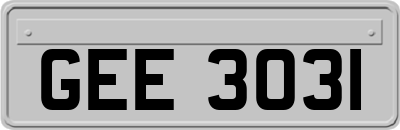 GEE3031