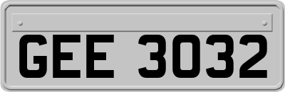 GEE3032