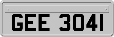 GEE3041