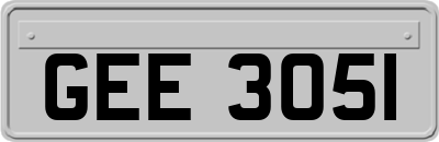 GEE3051
