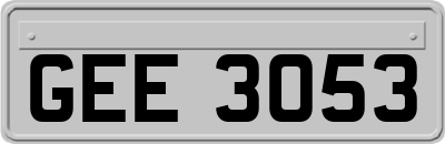GEE3053