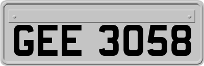 GEE3058