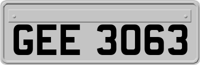 GEE3063