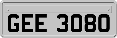 GEE3080