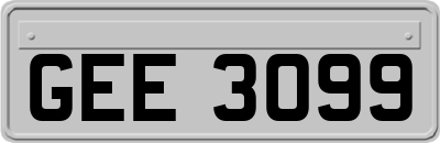 GEE3099