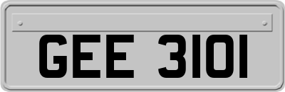 GEE3101
