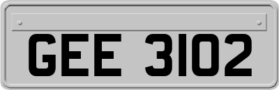 GEE3102