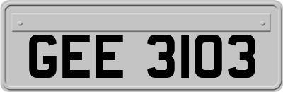 GEE3103
