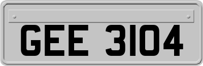 GEE3104