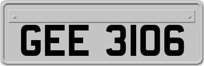 GEE3106