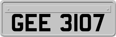 GEE3107