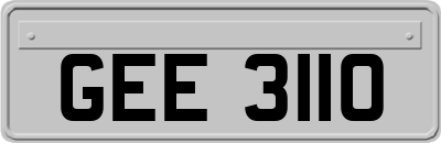 GEE3110