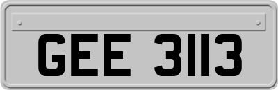 GEE3113