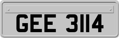 GEE3114