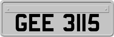 GEE3115