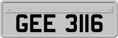 GEE3116