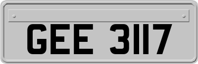 GEE3117