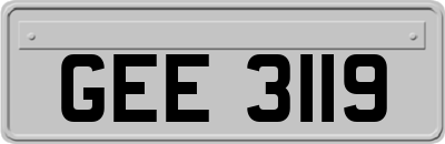 GEE3119