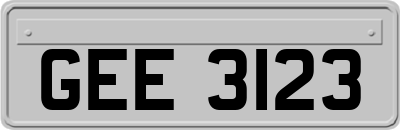 GEE3123