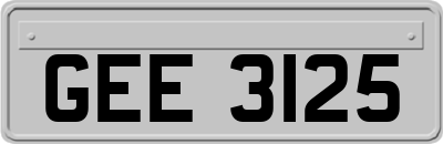 GEE3125