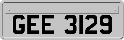 GEE3129