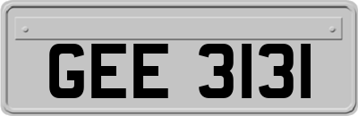 GEE3131
