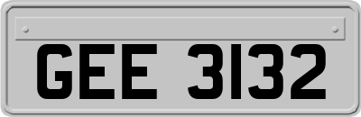 GEE3132