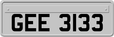 GEE3133
