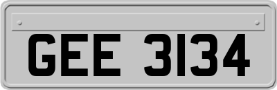 GEE3134