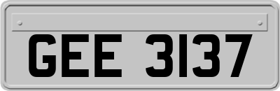GEE3137